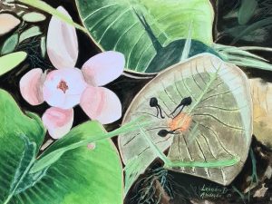 Symbiosis (Simbiose)