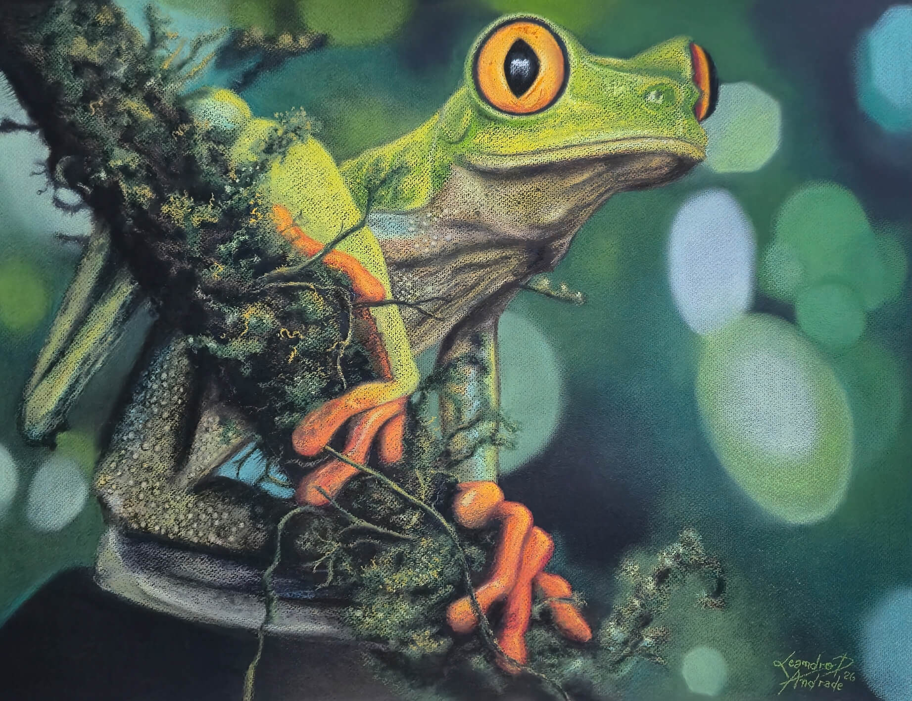 Watcher - Soft Pastel on Paper, red eyed tree frog