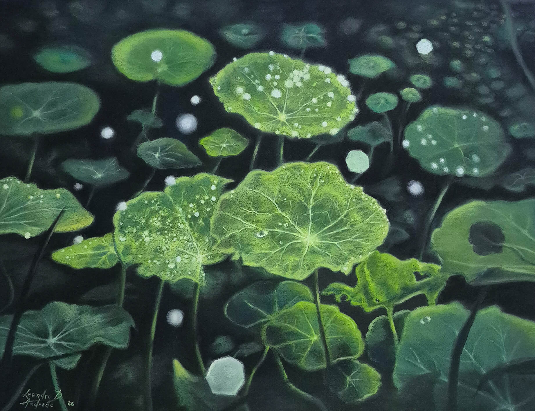 Breath - Soft Pastel on Paper